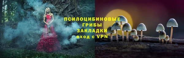 молекула духа Белоозёрский
