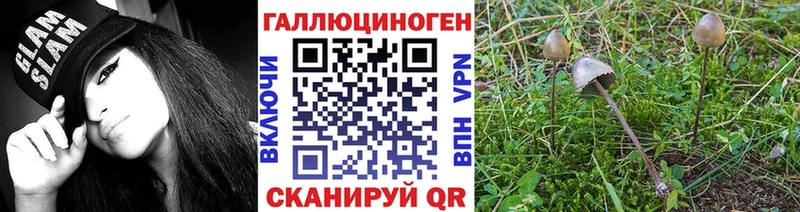 Псилоцибиновые грибы MAGIC MUSHROOMS Вязники